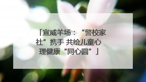 宣威羊场：“警校家社”携手 共绘儿童心理健康“同心圆”