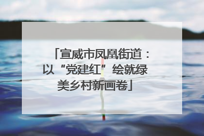 宣威市凤凰街道：以“党建红”绘就绿美乡村新画卷