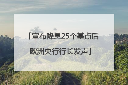 宣布降息25个基点后 欧洲央行行长发声