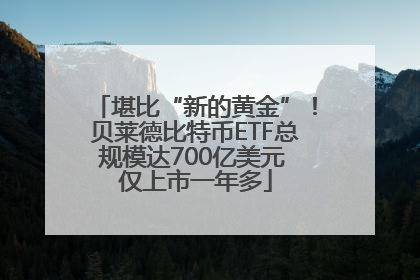 堪比“新的黄金”！贝莱德比特币ETF总规模达700亿美元 仅上市一年多