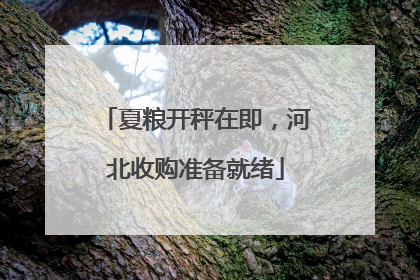 夏粮开秤在即，河北收购准备就绪