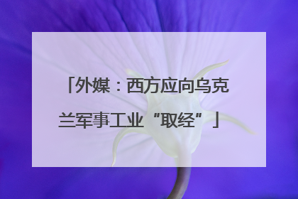 外媒：西方应向乌克兰军事工业“取经”