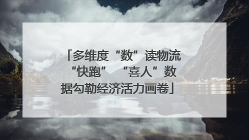 多维度“数”读物流“快跑” “喜人”数据勾勒经济活力画卷