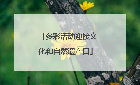 多彩活动迎接文化和自然遗产日
