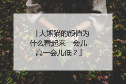 大熊猫的颜值为什么看起来一会儿高一会儿低？