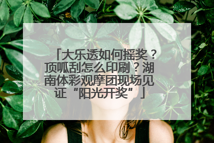 大乐透如何摇奖？顶呱刮怎么印刷？湖南体彩观摩团现场见证“阳光开奖”