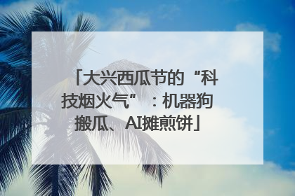 大兴西瓜节的“科技烟火气”：机器狗搬瓜、AI摊煎饼
