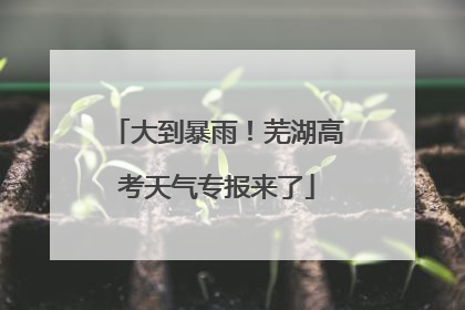大到暴雨！芜湖高考天气专报来了