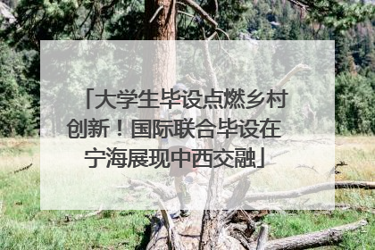 大学生毕设点燃乡村创新！国际联合毕设在宁海展现中西交融