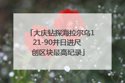 大庆钻探海拉尔乌121-90井日进尺 创区块最高纪录