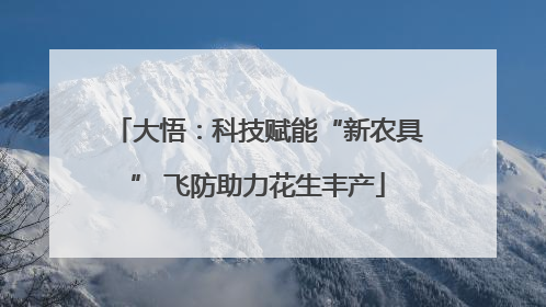 大悟：科技赋能“新农具” 飞防助力花生丰产