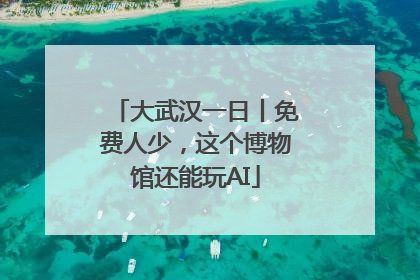 大武汉一日丨免费人少，这个博物馆还能玩AI