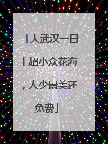 大武汉一日丨超小众花海，人少景美还免费