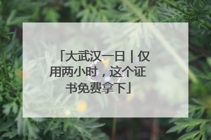 大武汉一日｜仅用两小时，这个证书免费拿下
