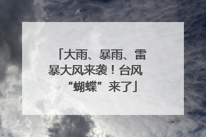 大雨、暴雨、雷暴大风来袭！台风“蝴蝶”来了