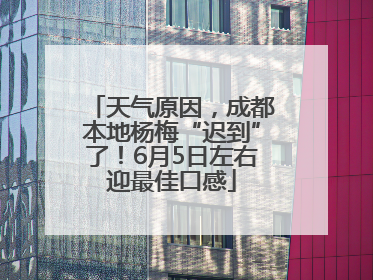 天气原因，成都本地杨梅“迟到”了！6月5日左右迎最佳口感