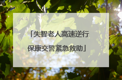 失智老人高速逆行 保康交警紧急救助
