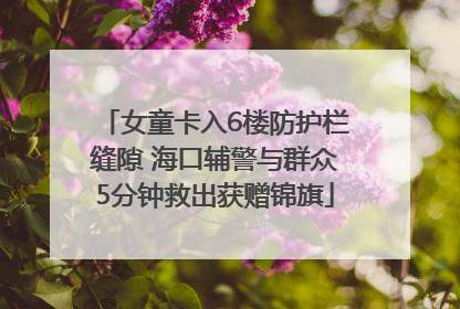 女童卡入6楼防护栏缝隙 海口辅警与群众5分钟救出获赠锦旗