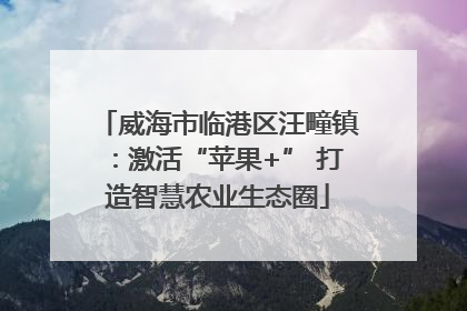 威海市临港区汪疃镇：激活“苹果+” 打造智慧农业生态圈