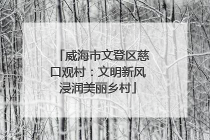 威海市文登区慈口观村：文明新风浸润美丽乡村