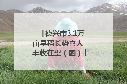 德兴市3.1万亩早稻长势喜人 丰收在望（图）