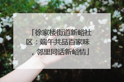 徐家楼街道新峪社区：端午共品百家味，邻里同话新峪情