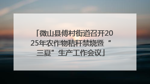 微山县傅村街道召开2025年农作物秸秆禁烧暨“三夏”生产工作会议