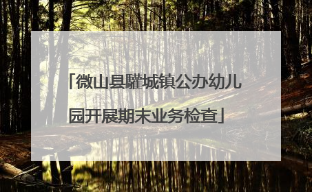 微山县驩城镇公办幼儿园开展期末业务检查