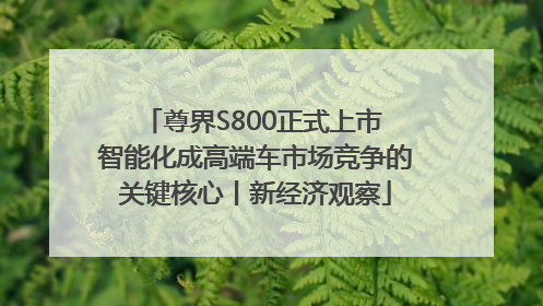 尊界S800正式上市 智能化成高端车市场竞争的关键核心丨新经济观察