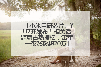 小米自研芯片、YU7齐发布！相关话题霸占热搜榜，雷军一夜涨粉超20万