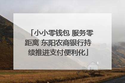 小小零钱包 服务零距离 东阳农商银行持续推进支付便利化