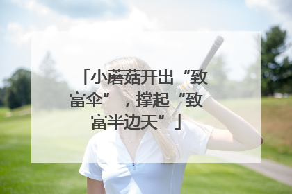 小蘑菇开出“致富伞”，撑起“致富半边天”