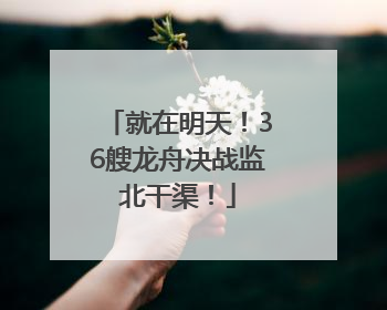 就在明天！36艘龙舟决战监北干渠！