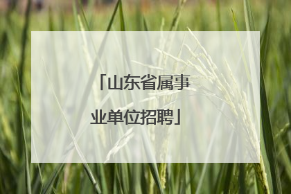 山东省属事业单位招聘