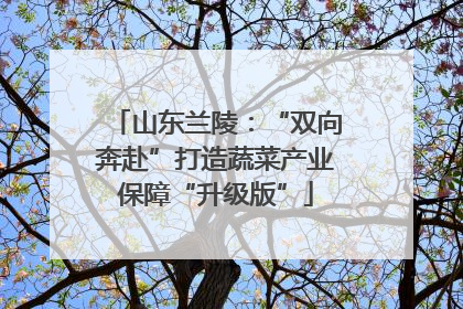 山东兰陵：“双向奔赴”打造蔬菜产业保障“升级版”