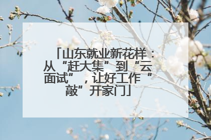 山东就业新花样：从“赶大集”到“云面试”，让好工作“敲”开家门