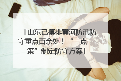 山东已摸排黄河防汛防守重点百余处！“一点一策”制定防守方案