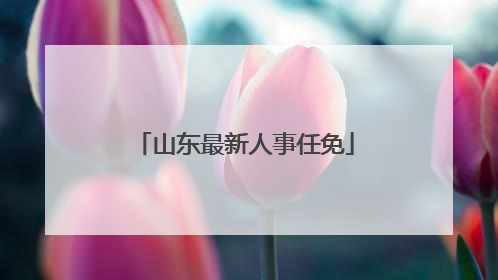 山东最新人事任免