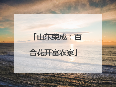 山东荣成：百合花开富农家