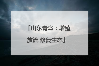 山东青岛：增殖放流 修复生态
