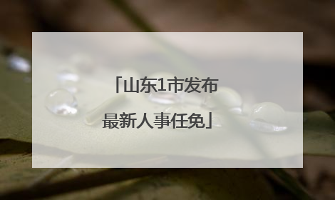 山东1市发布最新人事任免