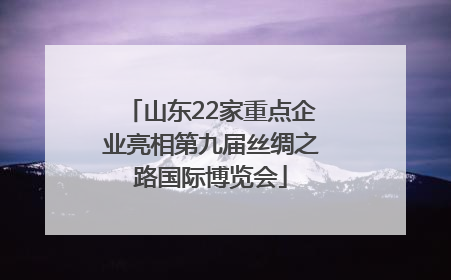 山东22家重点企业亮相第九届丝绸之路国际博览会