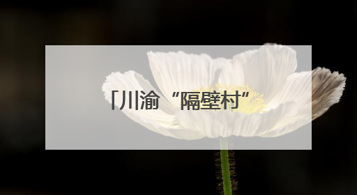 川渝“隔壁村”村民一起包粽子、拔河、抬幺妹 预祝端午安康