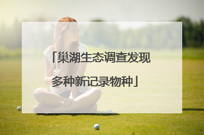 巢湖生态调查发现多种新记录物种