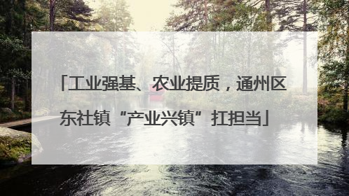 工业强基、农业提质，通州区东社镇“产业兴镇”扛担当