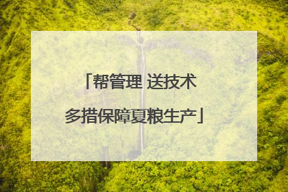 帮管理 送技术 多措保障夏粮生产