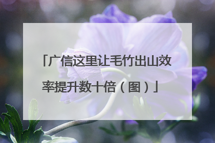 广信这里让毛竹出山效率提升数十倍（图）