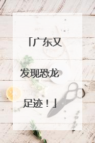 广东又发现恐龙足迹！