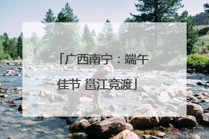 广西南宁：端午佳节 邕江竞渡