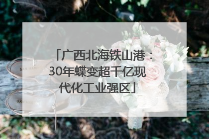 广西北海铁山港：30年蝶变超千亿现代化工业强区